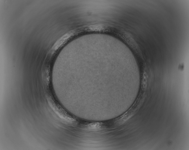 X0000115320116200911301607