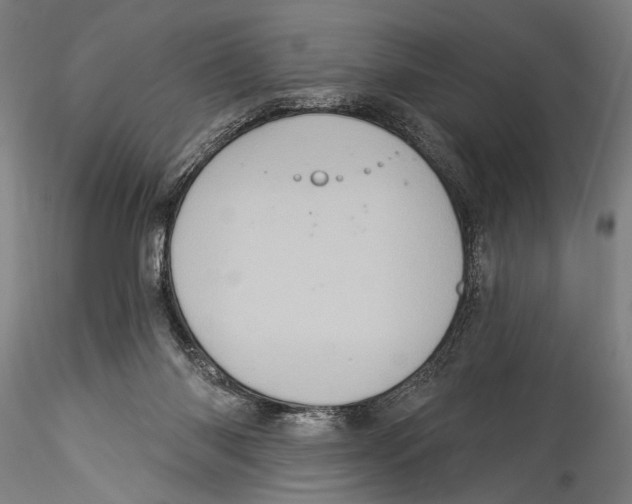 X0000115320118200911301607