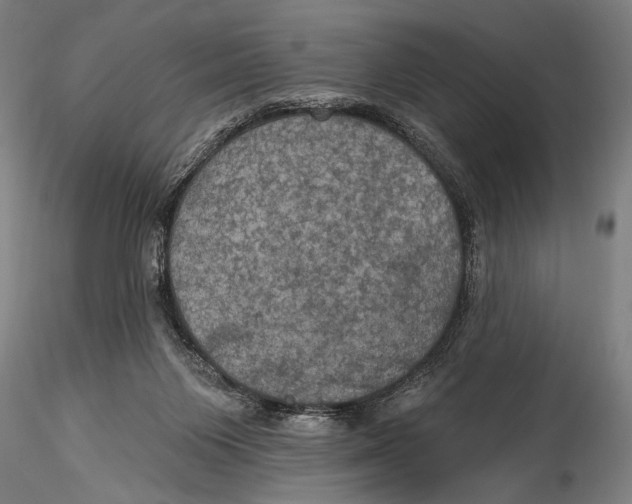 X0000115320119200911301607