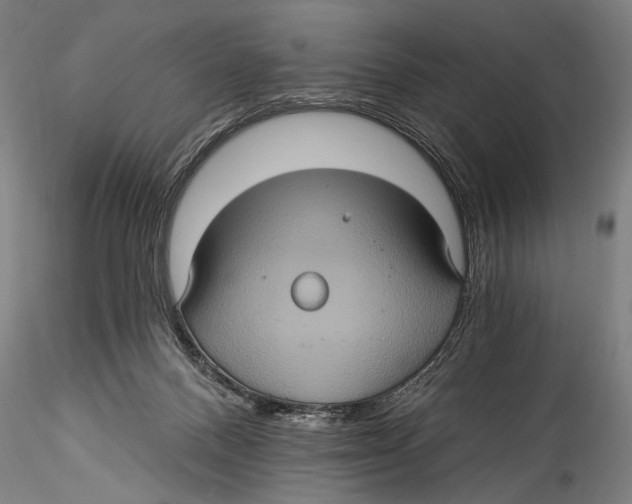 X0000115320120200911301607