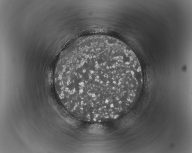 X0000115320123200911301607