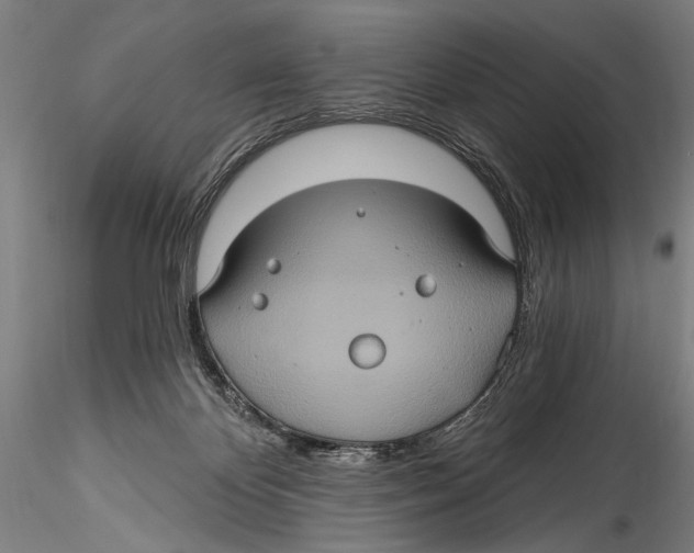 X0000115320124200911301607