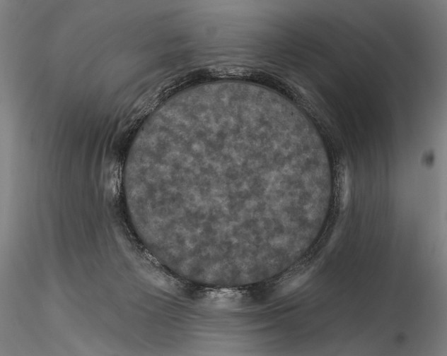 X0000115320125200911301607