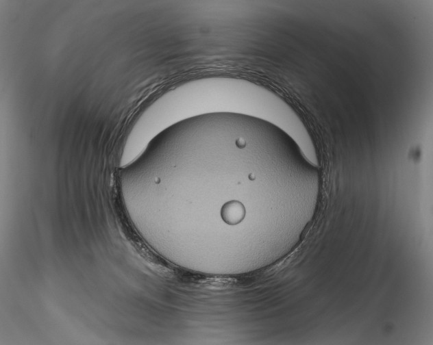 X0000115320128200911301607