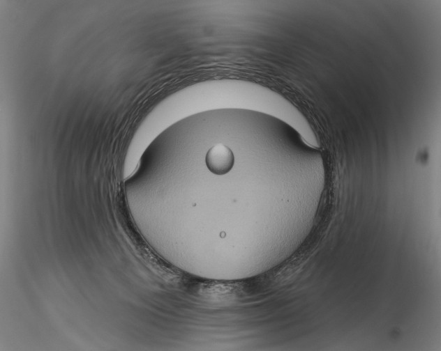 X0000115320129200911301607