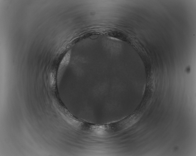 X0000115320131200911301607