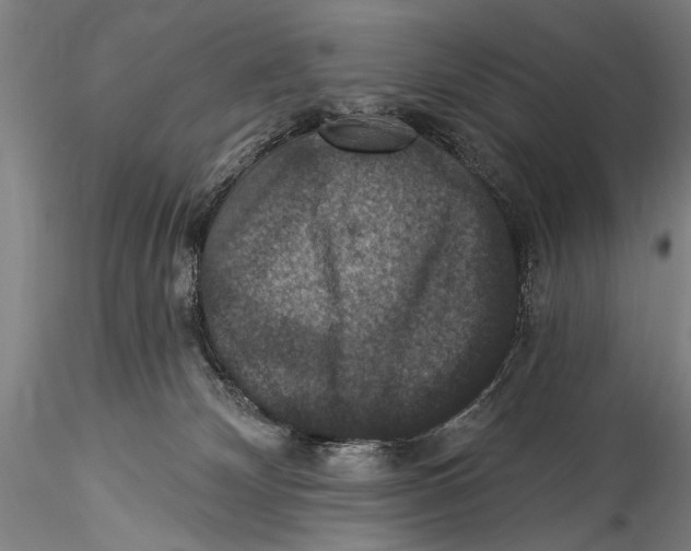 X0000115320132200911301607