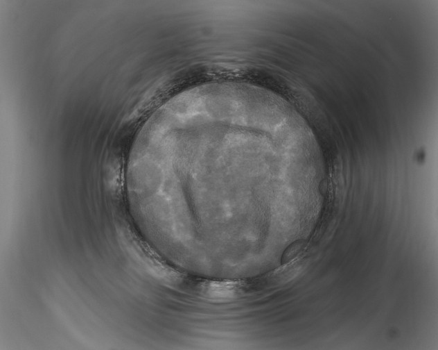 X0000115320134200911301607