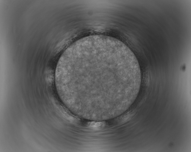 X0000115320135200911301607