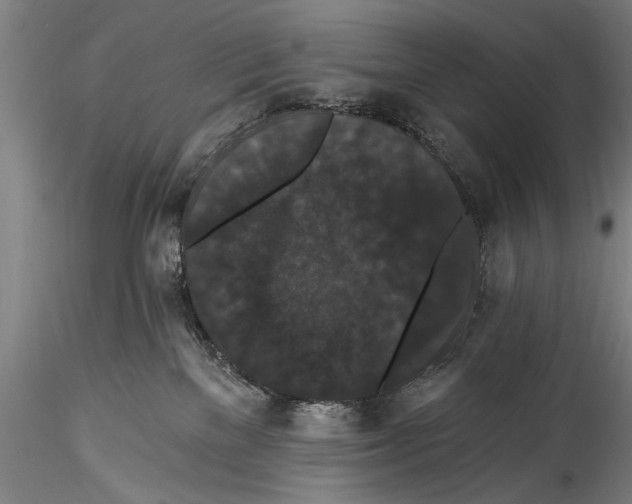 X0000115320137200911301607