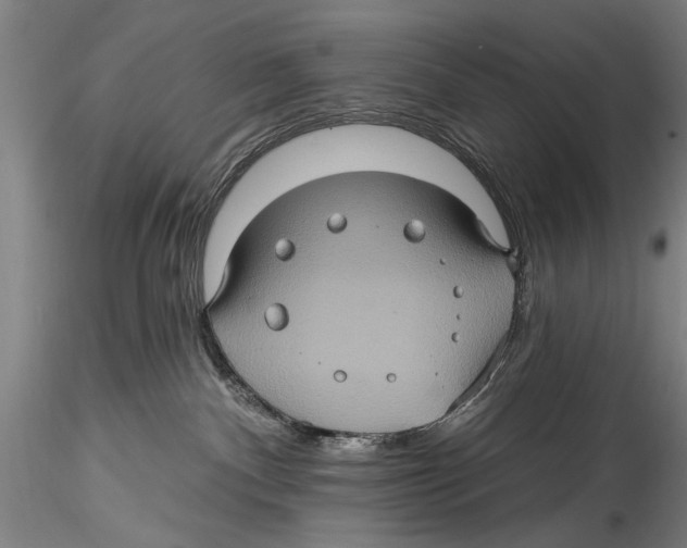 X0000115320140200911301607