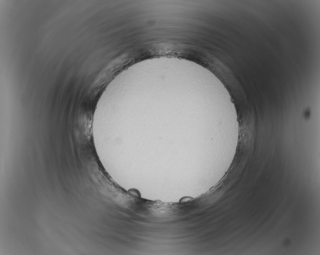 X0000115320142200911301607