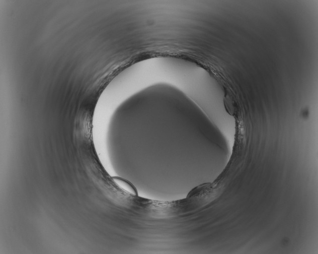 X0000115320143200911301607