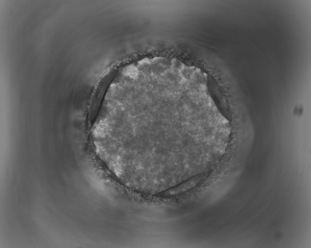 X0000115320144200911301607