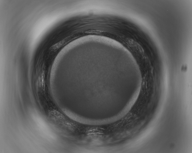 X0000115320146200911301606