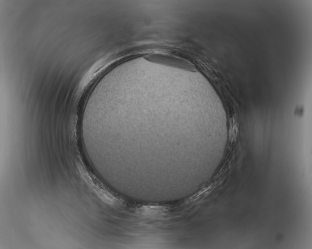 X0000115320150200911301606