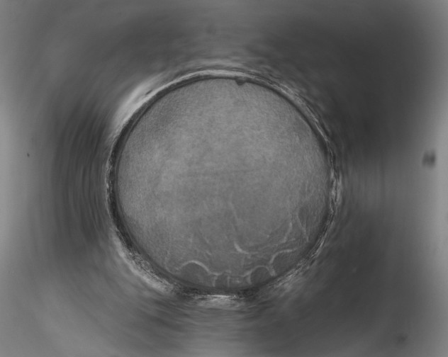 X0000115320151200911301606