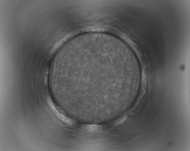 X0000115320153200911301606