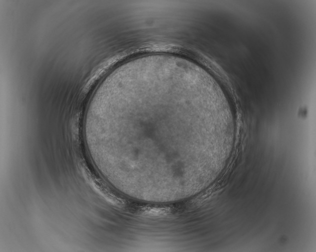 X0000115320155200911301606