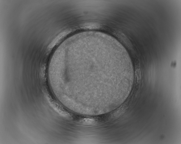 X0000115320159200911301606