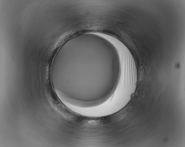 X0000115320163200911301606