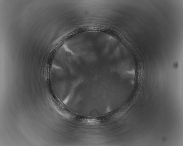 X0000115320165200911301606