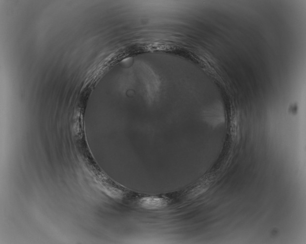 X0000115320169200911301606