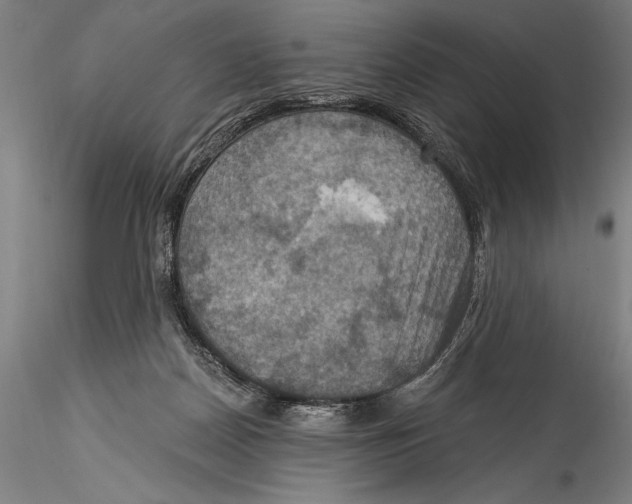 X0000115320170200911301606