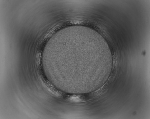 X0000115320171200911301606