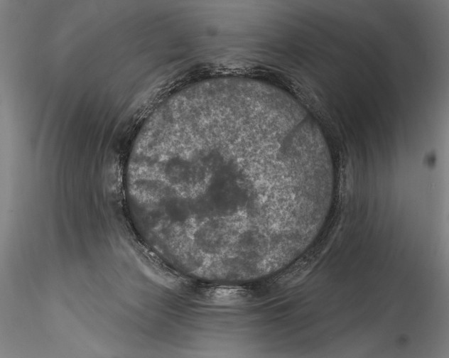 X0000115320173200911301606