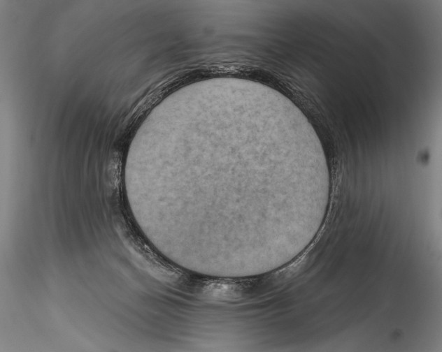 X0000115320174200911301606