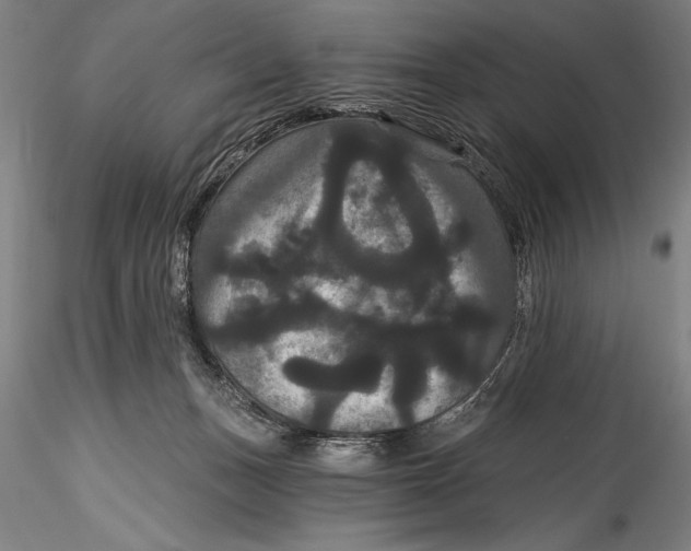 X0000115320175200911301607