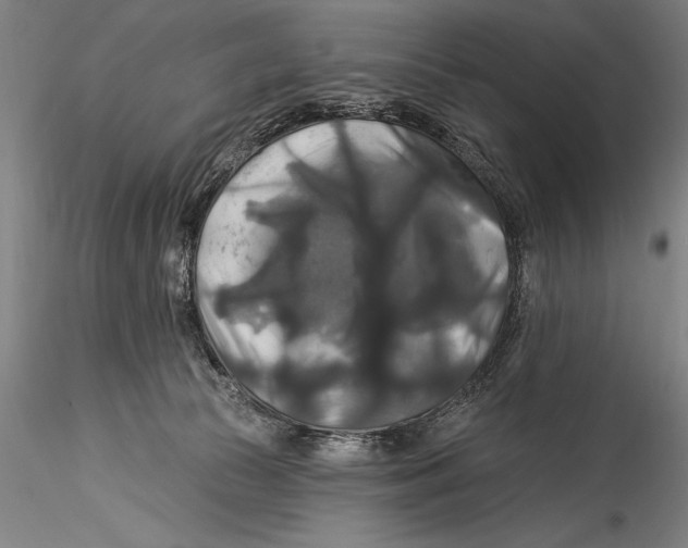 X0000115320177200911301607