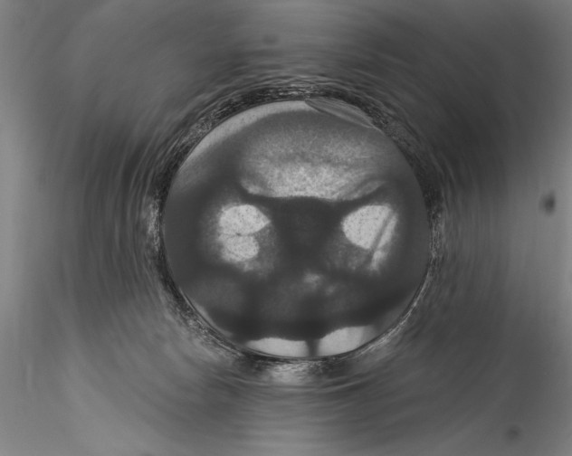 X0000115320178200911301607