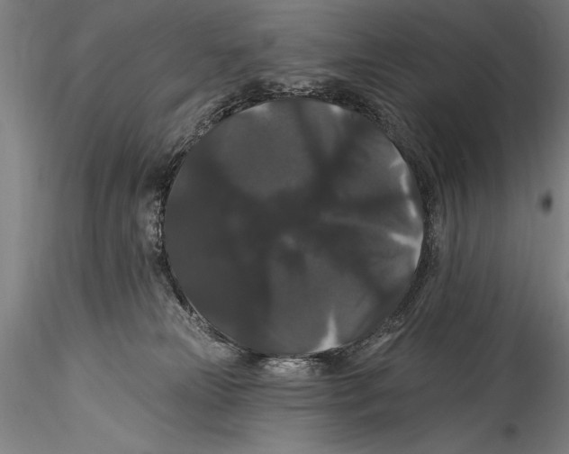 X0000115320181200911301607