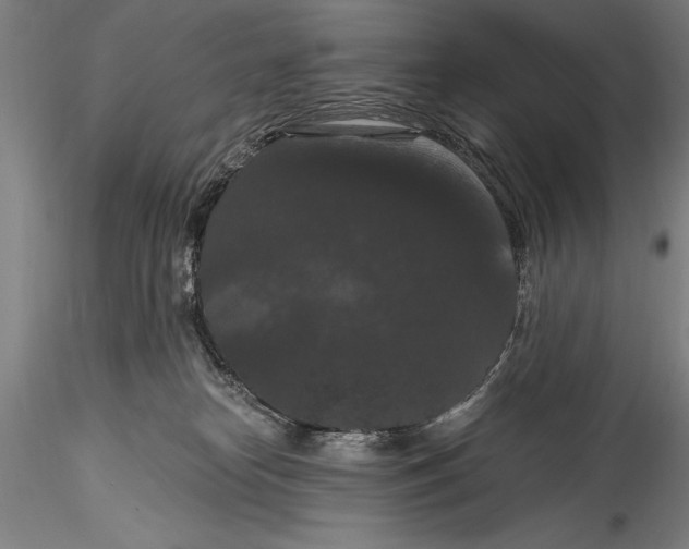 X0000115320182200911301607