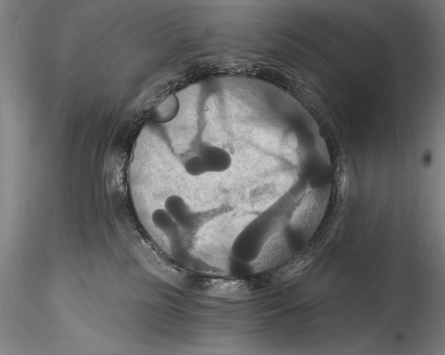 X0000115320185200911301607