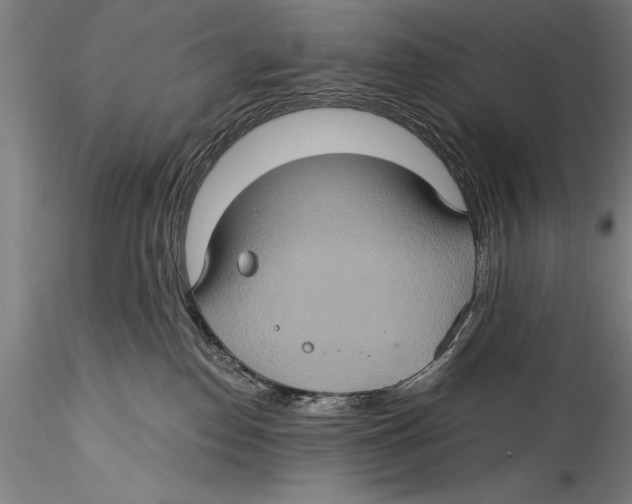 X0000115320186200911301607