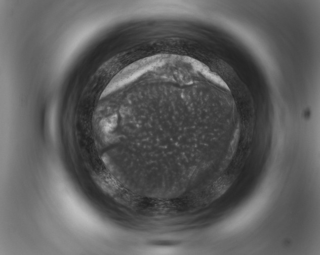 X0000115320189200911301607