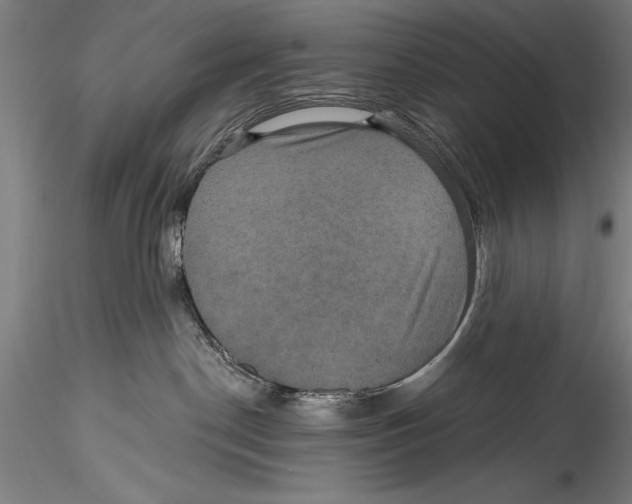 X0000115320190200911301607