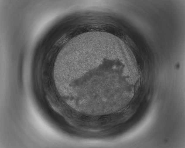 X0000115320191200911301607