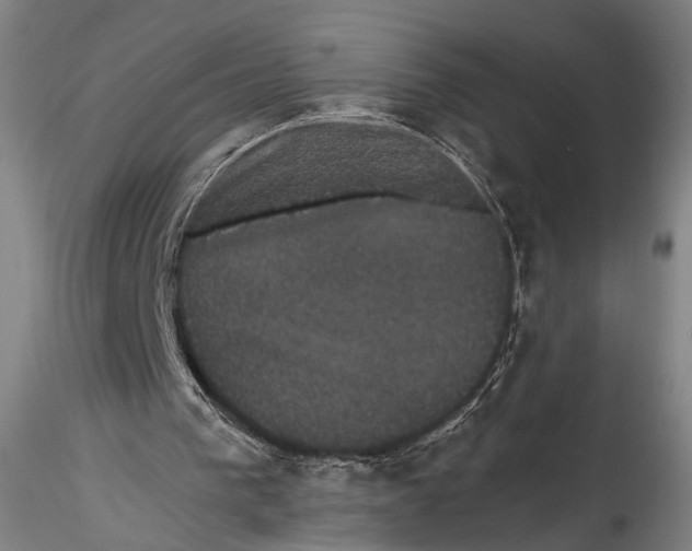 X0000115320193200911301606