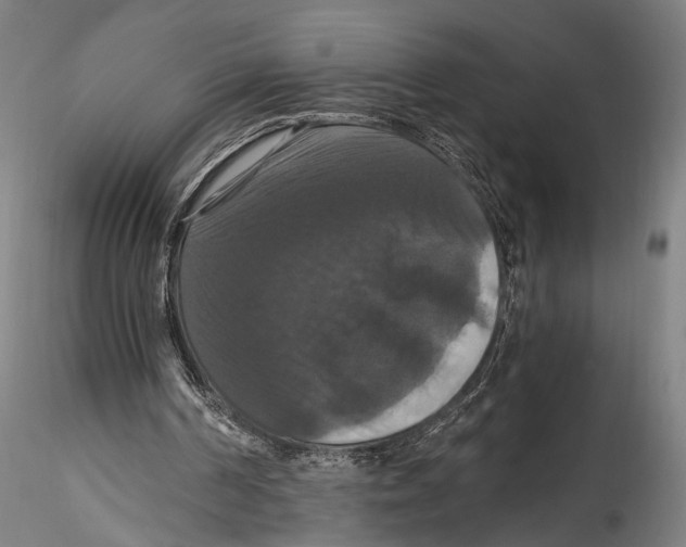 X0000115320194200911301606