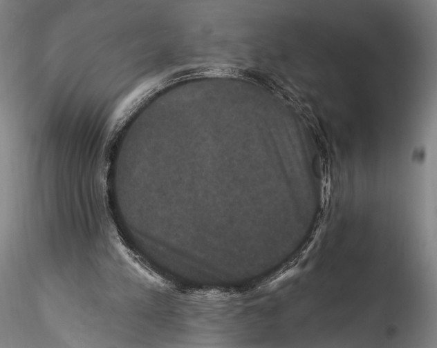 X0000115320197200911301606