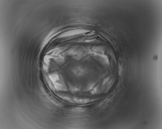 X0000115320198200911301606