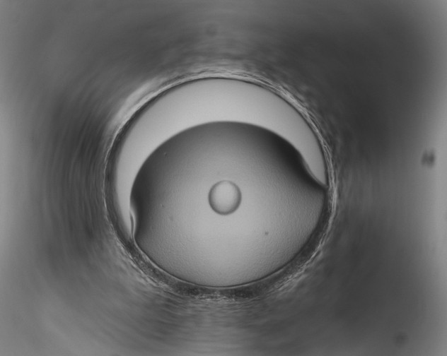 X0000115320199200911301606