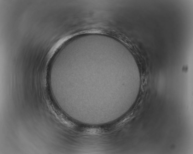 X0000115320200200911301606