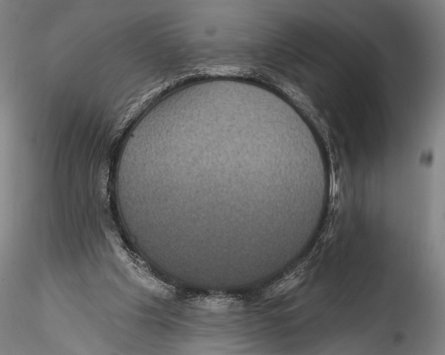 X0000115320201200911301606