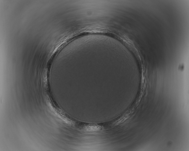 X0000115320202200911301606