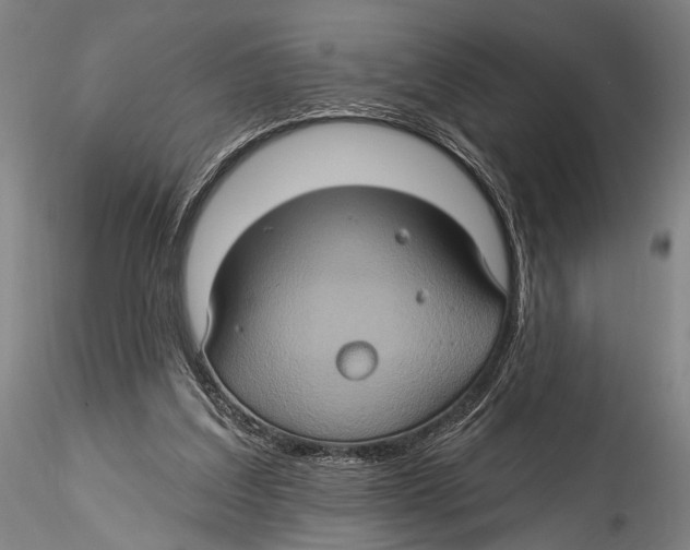 X0000115320203200911301606